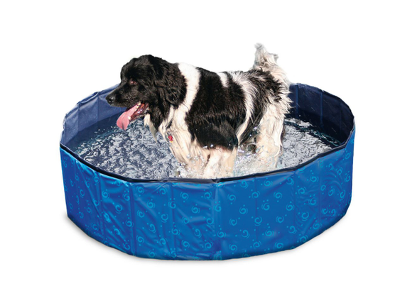Karlie Doggy Pool Blau 80 x 20cm