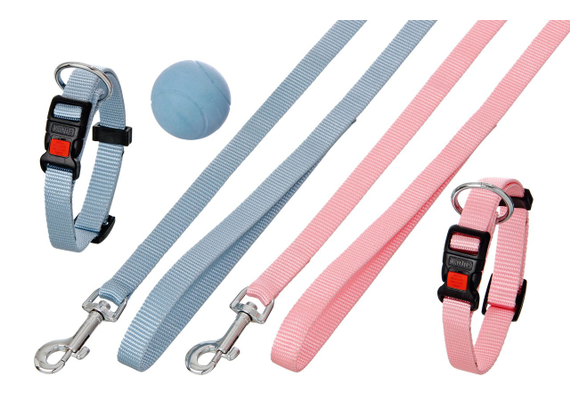 Karlie Puppy Set collar + leash pink 15mmx20-40c